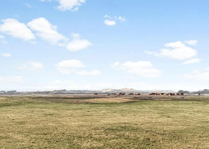 Дом отдыха Vester Storetoft Xii